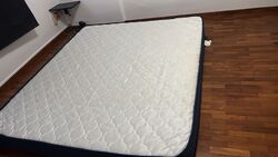 Blk 237 Hougang Street 21 (Hougang), HDB Executive #452643201